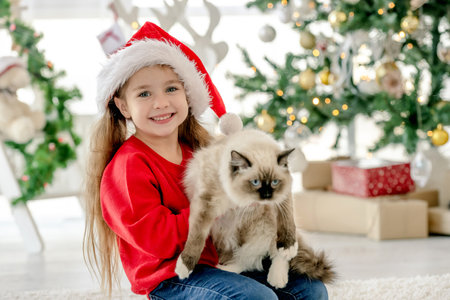 Child with ragdoll cat in Christmas timeの写真素材