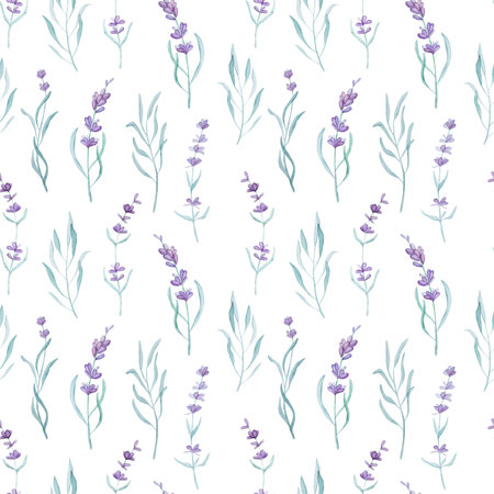 Beautiful lavender provence plant watercolor seamless pattern. Purple blossom flower composition aquarelle drawing for postcard designの写真素材