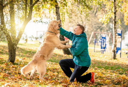 Man playing with his dog golden retriever in autumn parkの写真素材
