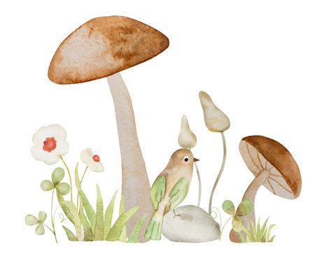 Forest mushrooms and bird fairytale watercolor painting. Cartoon wood fungal vegetable with grass and flowers aquarelle drawingの写真素材