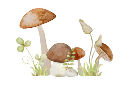 Forest red mushroom and green clover fairytale watercolor painting. Cartoon fly agaric amanita aquarelle drawingの写真素材