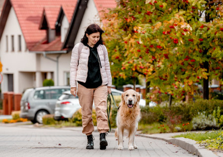 Preteen girl wear on golden retriever dog lace outdoors. Pretty woman with purebred pet doggy walking at autumn streetの写真素材