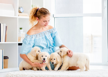 Nice girl and retriever puppies on light roomの写真素材