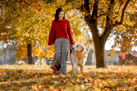 Beautiful girl with golden retriever dog in autumn park with yellow leaves. Pretty young woman with purebred doggy labrador at fall season at nature togetherの写真素材