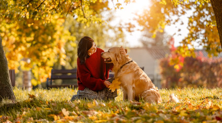 Beautiful girl with golden retriever dog sitting in autumn park with yellow leaves. Pretty young woman petting purebred doggy labrador at fall season at natureの写真素材