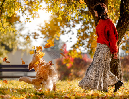 Beautiful girl with golden retriever dog holding yellow leaf in hand in autumn park. Pretty young woman playing with purebred doggy labrador at fall season at natureの写真素材