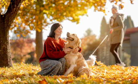 Beautiful girl hugging golden retriever dog in autumn park sitting in yellow leaves. Pretty young woman petting purebred doggy labrador at fall season at natureの写真素材