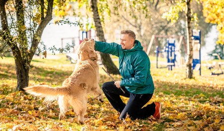Man playing with his dog golden retriever in autumn parkの写真素材