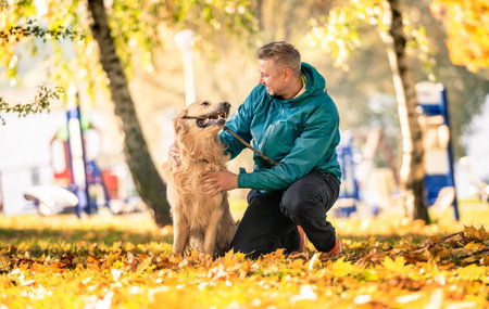Man playing with his dog golden retriever in autumn parkの写真素材