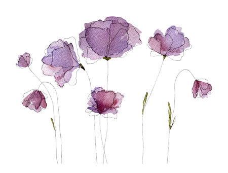 Watercolor spring summer flowers blossom. Tender violet floral bouquet for decoration and designの写真素材