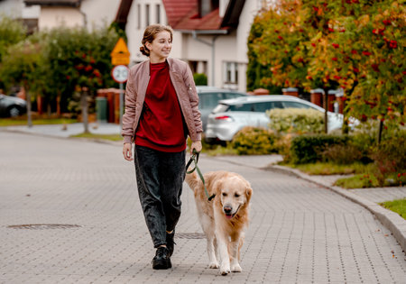 Preteen girl with golden retriever dog walking at street. Pretty child kid with purebred dog labrador in park outdoors.の写真素材
