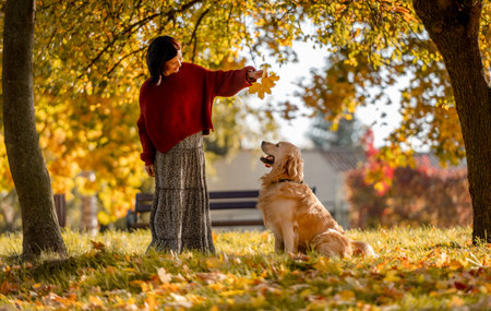 Beautiful girl with golden retriever dog holding yellow leaf in hand in autumn park. Pretty young woman playing with purebred doggy labrador at fall season at natureの写真素材