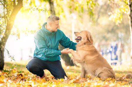 Man playing with his dog golden retriever in autumn parkの写真素材