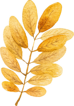 Autumn orange leaves watercolor drawing closeup. Cozy fall foliage aquarelle paintingの写真素材