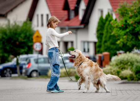 Preteen girl teaching golden retriever dog walking at city street. Pretty child kid with purebred pet doggy outdoorsの写真素材