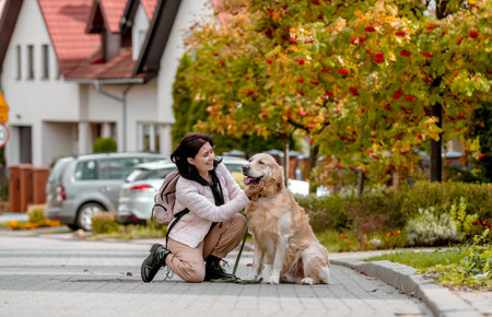 Preteen girl wear on golden retriever dog lace outdoors. Pretty woman with purebred pet doggy walking at autumn streetの写真素材