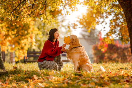 Beautiful girl with golden retriever dog sitting in autumn park with yellow leaves. Pretty young woman petting purebred doggy labrador at fall season at natureの写真素材