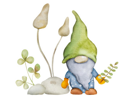 Forest dwarf with mushrooms in garden watercolor painting. Fairytale character gnome with agaric aquarelle drawing for postcard decorationの写真素材