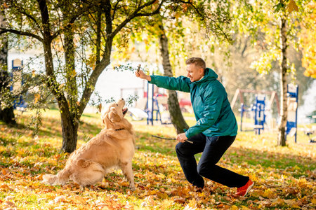 Man playing with his dog golden retriever in autumn parkの写真素材