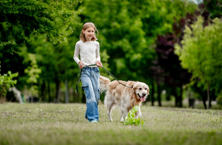 Preteen girl with golden retriever dog walking at nature. Cute child kid with purebred pet doggy labrador in park at summerの写真素材