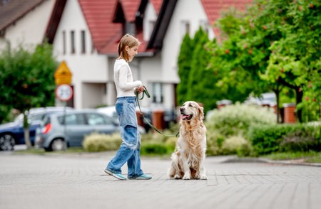 Preteen girl teaching golden retriever dog walking at city street. Pretty child kid with purebred pet doggy outdoorsの写真素材