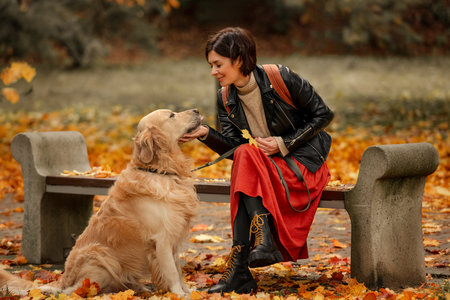 A young woman sitting on a bench in an autumn park and petting a Golden Retriever dogの写真素材