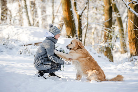 Teenage Girl With Golden Retriever Gives Paw In Snowy Forest, Sitting With Dogの写真素材
