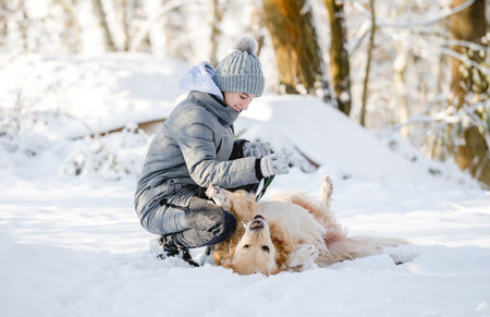 Teenage Girl Plays With Golden Retriever In Snowy Forest, Sitting With Dogの写真素材