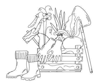Coloring Book For ChildrenS Creativity Features A Box With Garden Gloves, A Shovel, And Seedlings Of Onion, Beetroot, And Peas, All Hand-Drawn For Print In A Vector Coloring Pageのイラスト素材