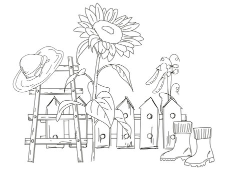 Coloring Book For ChildrenS Creativity Features A Hand-Drawn Rural Illustration Of A Fence With A Ladder, Sunflower, Straw Hat, And Rubber Boots, Ready For Print As A Vector Coloring Pageのイラスト素材
