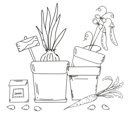 Coloring Book For ChildrenS Creativity Features Hand-Drawn Illustration Of Pots With Onion And Pea Seedlings, Seeds, And Carrot, Embracing A Garden Theme, Ready For Printのイラスト素材