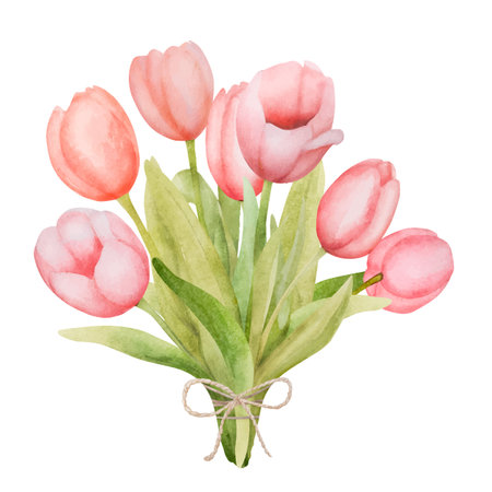 Beautiful pink tulip flowers bouquet watercolor paiting. Spring blossom garden plant aquarelle drawingのイラスト素材