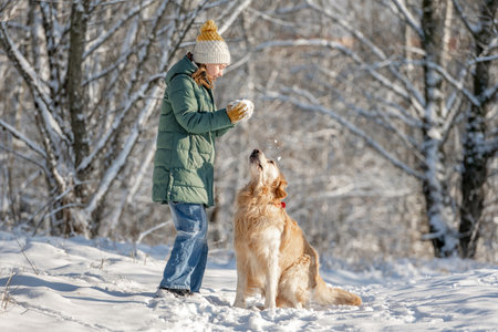 Small Girl With Golden Retriever Plays With Snow In Winter Forestの写真素材