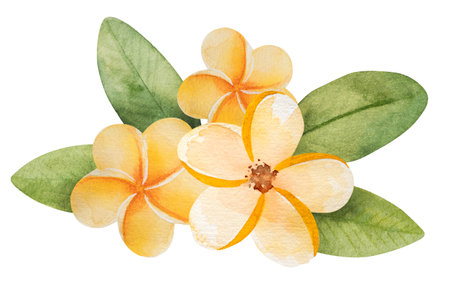 Hand-Drawn Image Of A Summer-Themed Watercolor Illustration Featuring Tropical Yellow Flowers And Leaves Clipart On A White Backgroundの写真素材