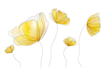 Watercolor spring summer flowers blossom. Tender yellow floral bouquet for decoration and postcard designのイラスト素材