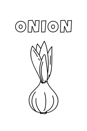 Coloring With Thick Lines For The Little Ones Is What This Page, Featuring An Onion, Offersのイラスト素材