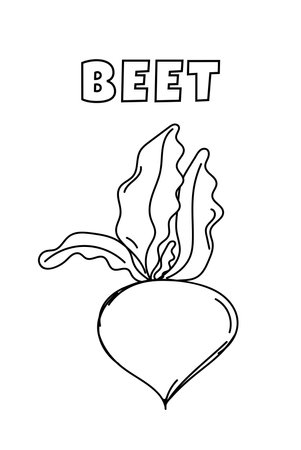 Coloring With Thick Lines For The Smallest Ones, Beetroot Coloring Pageのイラスト素材