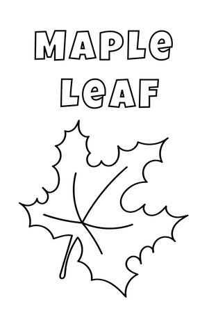 Coloring With Thick Lines For The Little Ones, Maple Leaf Coloring Pageのイラスト素材