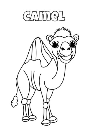 Camel Coloring Page For Kids Is A Creative Book For Coloringのイラスト素材