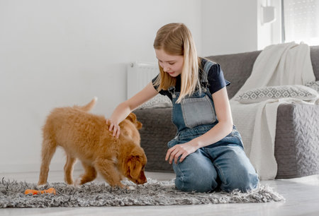 Girl Plays With Nova Scotia Retriever Puppies At Home On Floor, Nova Scotia Retriever Tollerの写真素材