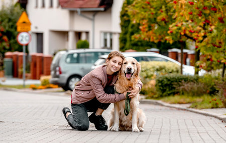 Preteen teen girl wear on golden retriever dog lace outdoors. Pretty kid child with purebred pet doggy walking at streetの写真素材