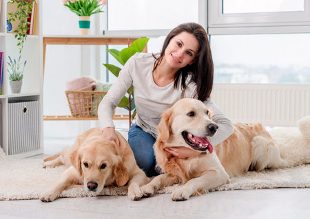Golden retriever dogs lying on floor next to girl in light roomの写真素材