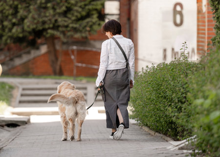 Young Woman With Golden Retriever On A Walk, Viewed From Behindの写真素材
