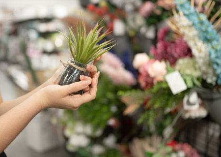 Young Girl In Store Selects Artificial Plants, Close-Up Of Handsの写真素材