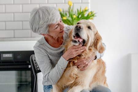 Woman With Grey Hair Enjoys Time At Home With Golden Retrieverの写真素材