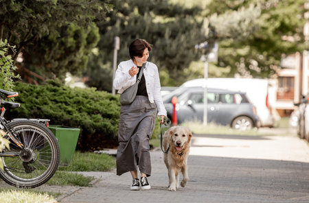 Young Woman With Golden Retriever Enjoys Summer Walkの写真素材