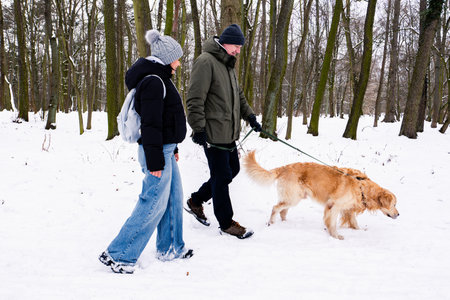 Man And Woman Walk Golden Retriever Dog In Winter Through Snowy Parkの写真素材