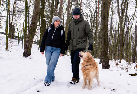 Man And Woman Walk Golden Retriever Dog In Winter Through Snowy Parkの写真素材