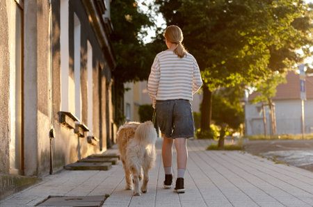 Girl Walking Down Street With Golden Retriever Dog In Summer At Sunset Viewed From Behindの写真素材