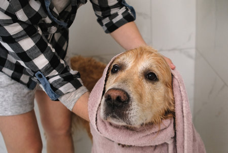 Female Owner Towels A Wet Dog In The Bathroom